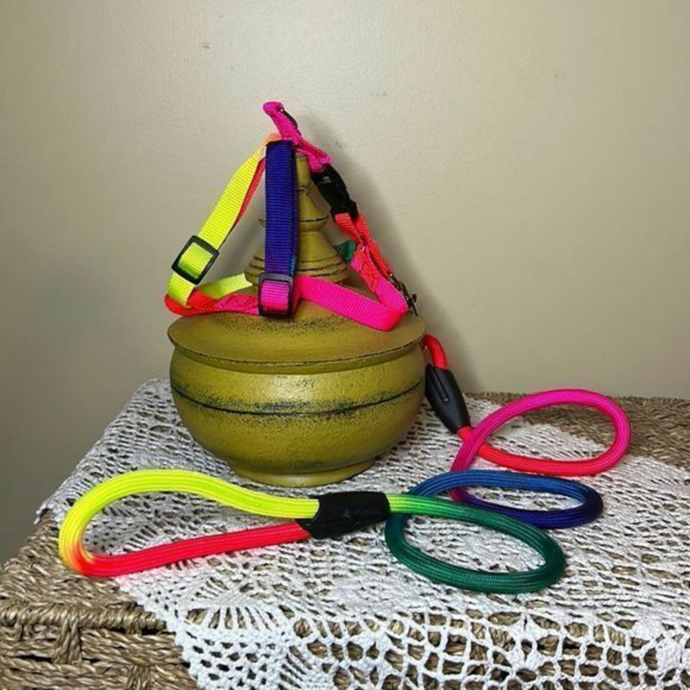 Rainbow Cat harness with leash‎